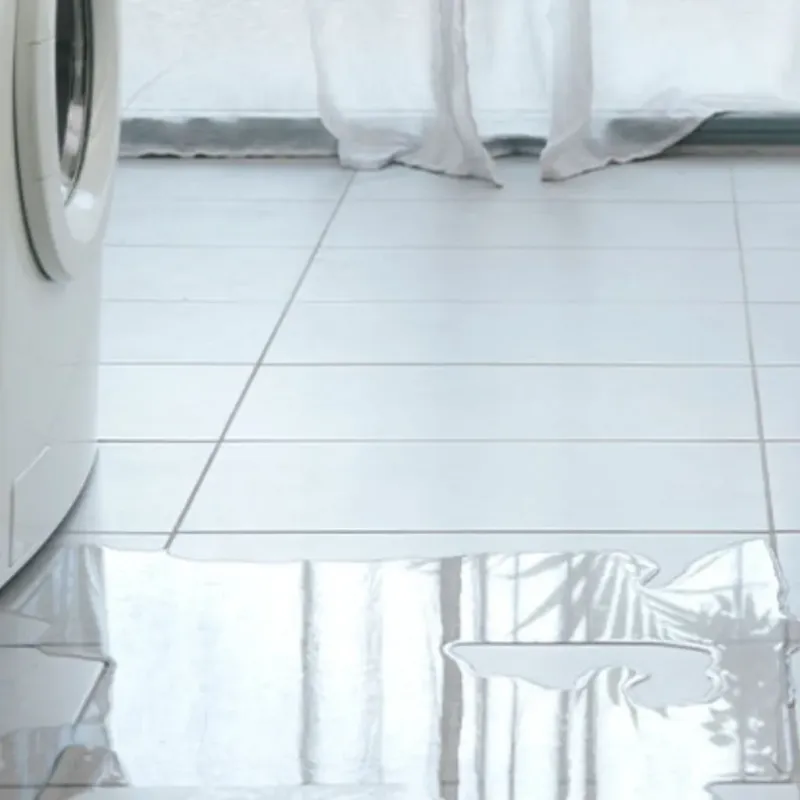 Appliance Leak Cleanup in Rocky River, OH