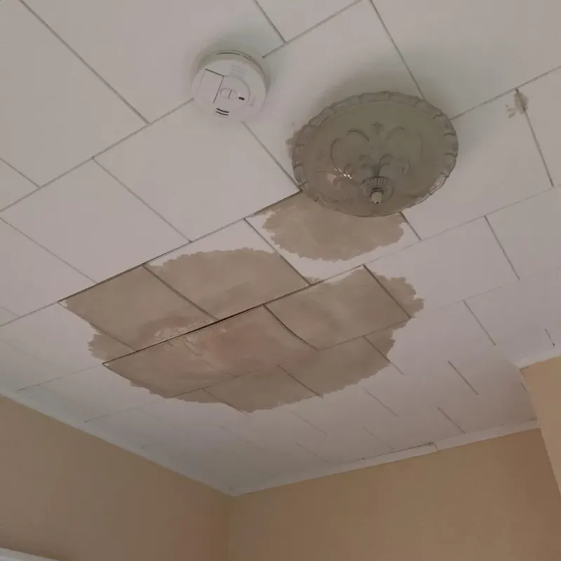 Ceiling Water Damage Repair in Rocky River, OH