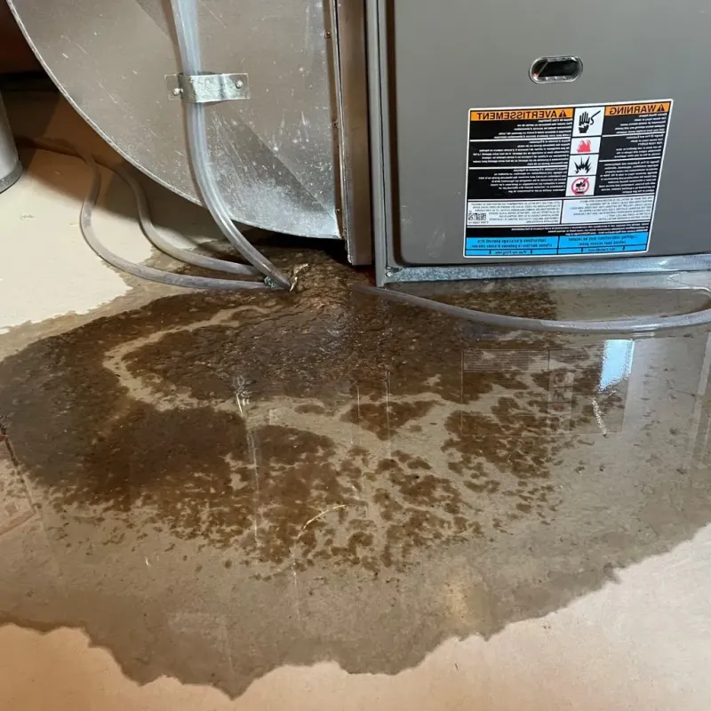 Pipe Burst and Leak Restoration in Rocky River, OH
